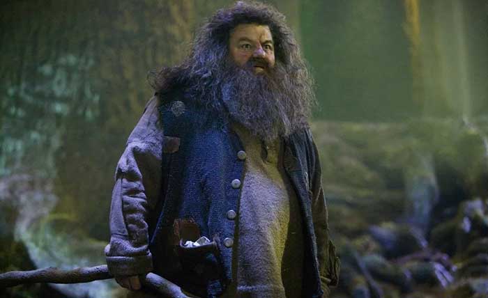 Hagrid e a Lua Nova de Áries
